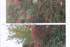 IMG_20240223_0003