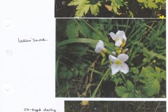 IMG_20231122_0012